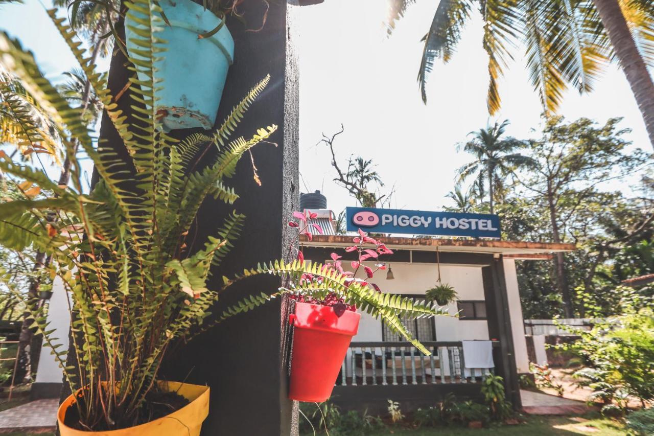 Piggy Hostel Vagator Luaran gambar